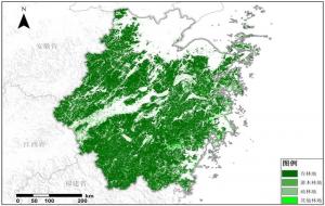 已经灭绝的虫子：阳彩臂金龟重现浙江