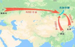 贝加尔湖最大的鱼有多大