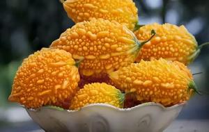 已经灭绝的水果（消失的水果）