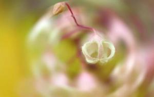 韬光养晦的真正含义（韬光养晦是什么意思）