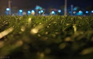 《揠苗助长》告诉我们什么道理