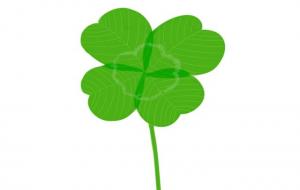 四叶草的花语（四叶草的寓意和象征）