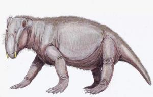 水龙兽是人类的祖先吗