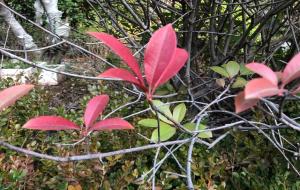 何不食肉糜这句话什么意思（典故）