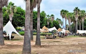 椰风寨有什么好玩的