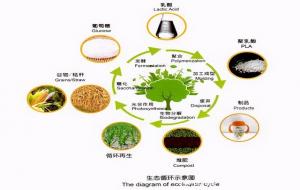 pla是什么意思(后石油时代的生物材料)