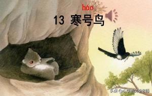 《寒号鸟》告诉我们什么道理 课文解读