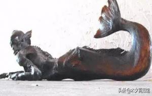 渔民捕获一条美人鱼(鲛人真的存在过吗)