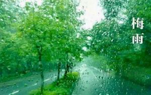 梅雨季节 （散文诗）