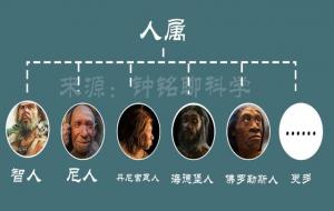 人属为什么只剩下智人（人类都是同一个祖先吗）