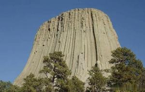 魔鬼塔怎么形成的(魔鬼塔是不是树化石)