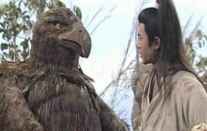 最厉害的鹰是什么鹰(老鹰排行榜)