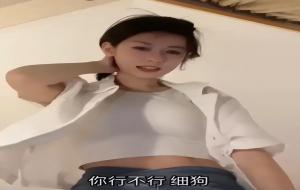 细狗什么意思(程女士的梗)