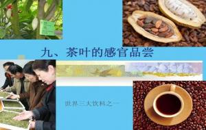 世界三大饮料是哪三种（哪个喝的人多）