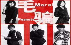 《毛骗》为什么评分那么高