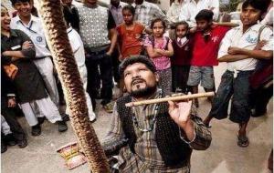 印度通天绳魔术之谜（原理解释与揭秘）