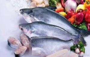 巴沙鱼：世界上很脏的鱼