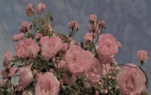 只是当时已惘然的意思