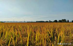 火火火!老公的钱,我自己不舍得花