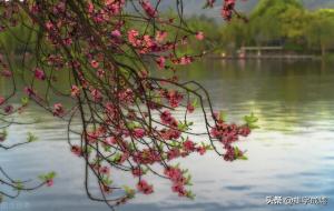 山中问答唐李白古诗