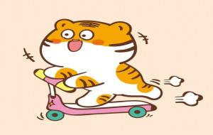 属虎人一生倒霉的年龄