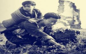 采生折割是什么意思（采生折割真的假的）