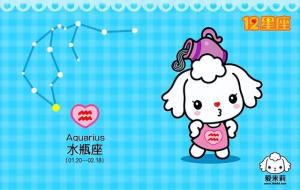 属什么的水瓶座命最好