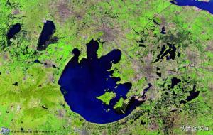 斑鳖还有几只（斑鳖现存数量）