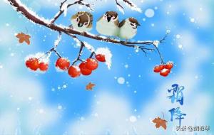 赞美霜降的诗句古诗（8首霜降诗词）