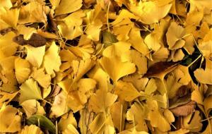 是小周吖（灵魂的欲望是命运的先知）