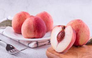 无锡特产有哪些(无锡市十大特产)