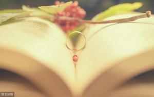 结婚十年是什么婚(10周年纪念日)