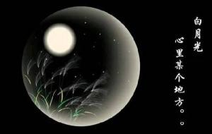 白月光是什么意思(白月光暗示什么)