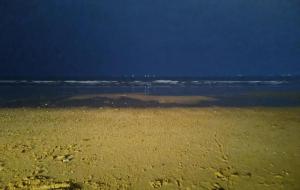 独自在夜晚的海边