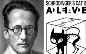 薛定谔的猫的恐怖之处(究竟有多恐怖)