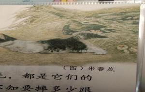 语文书上的恐怖一页（四年级下册）