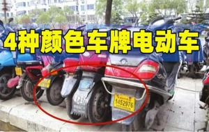 白牌车是什么身份（白牌车是什么车辆）