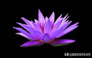 破裂的婚姻如何挽回(怎么挽救自己的婚姻)