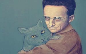 薛定谔的猫是悖论吗(为什么没人验证真假)