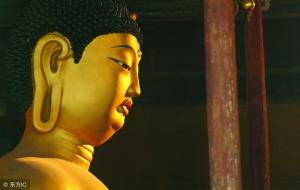 药王菩萨和药师佛是一个人吗