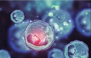 除病毒外,组成生物体的基本单位是(细胞)