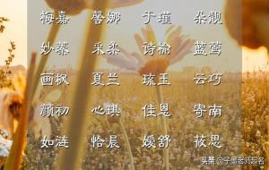 独一无二的好听女孩名(简洁单一大方