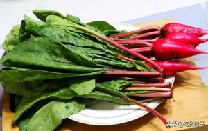 水萝卜全身是宝(水萝卜的功效与作用)