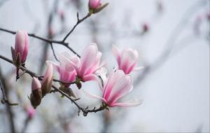 身在无间,心在桃源