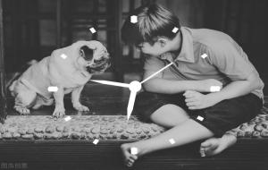 狗的寿命一般多长(寿命为什么这么短)