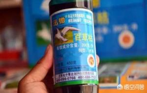 百草枯禁止销售了吗（为什么还有售）