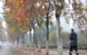 湿气太重怎么办(中医总结5大祛湿方法)