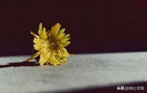 苍天饶过谁的前一句