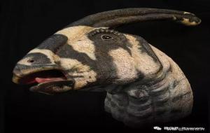 副栉龙生活在哪个时期（吃什么食物）