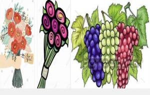 果实累累的拼音（读音是二声还是三声）